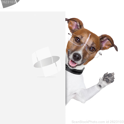 Image of dog banner