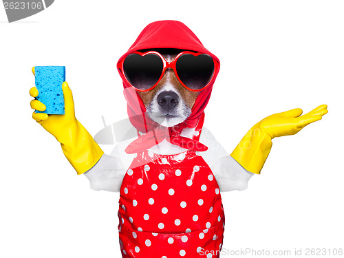 Image of housewife dog 