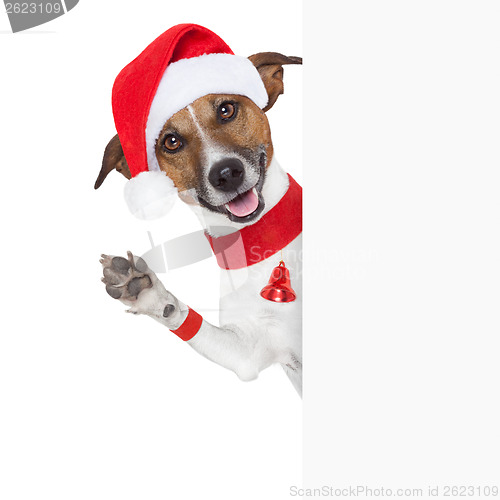 Image of hello goodbye christmas  dog 