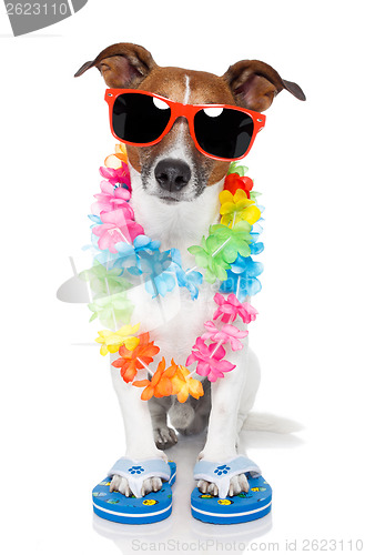Image of tourist dog with hawaiian  lei and shades