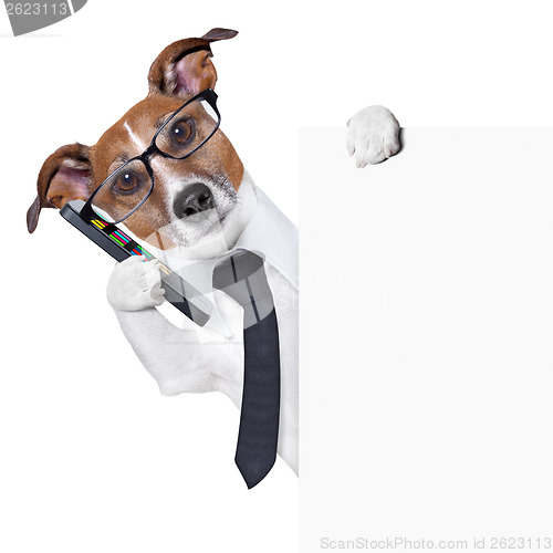 Image of dog  smartphone