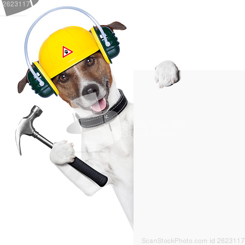 Image of handyman dog 