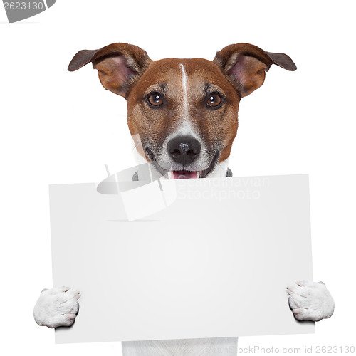 Image of placeholder banner dog