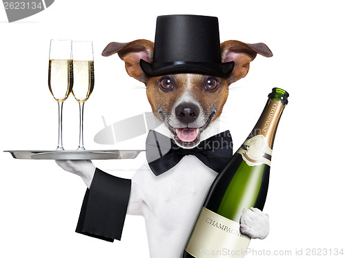 Image of dog toasting 