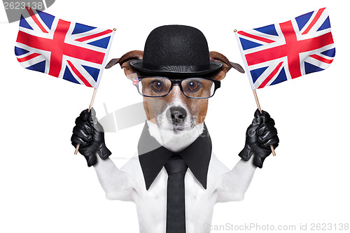 Image of british dog 