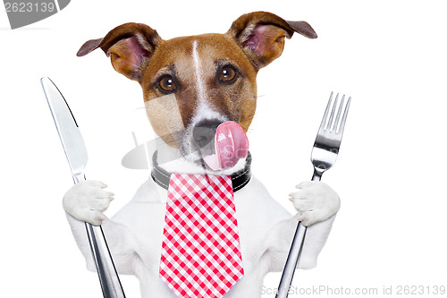 Image of hungry dog