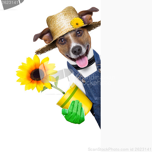 Image of gardener dog
