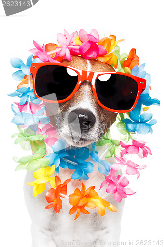 Image of funny dog  hawaiian  lei and sunglasses