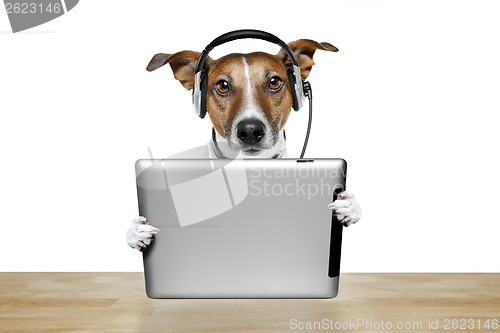 Image of dog computer 