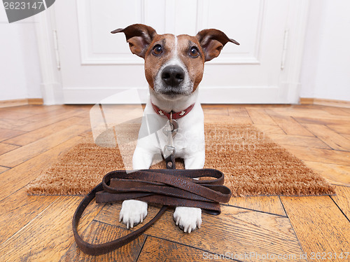 Image of dog leather leash