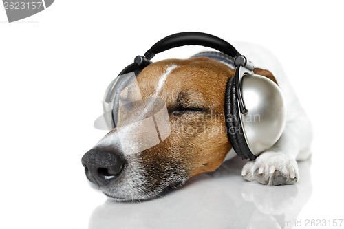 Image of Dog listen to music with a music player