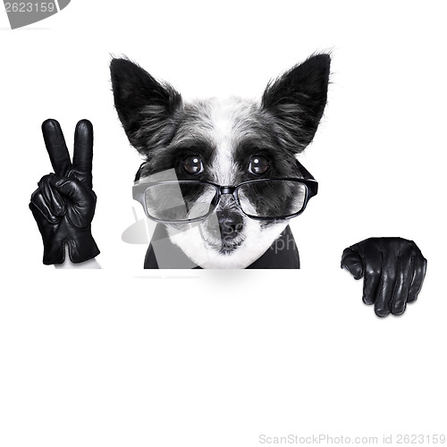 Image of peace fingers dog
