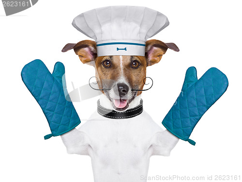 Image of dog cook chef