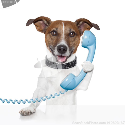 Image of dog on the phone talking 