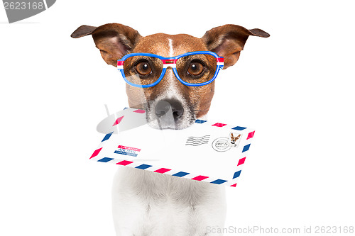 Image of mail dog