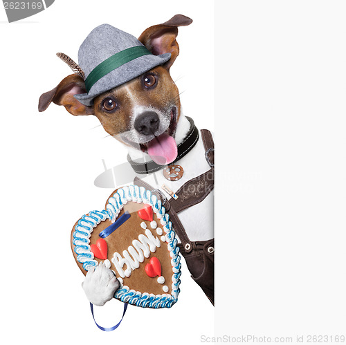 Image of oktoberfest dog