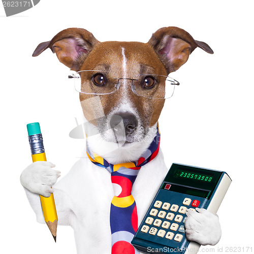 Image of secretary dog