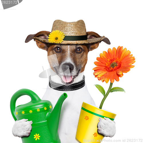 Image of dog gardener