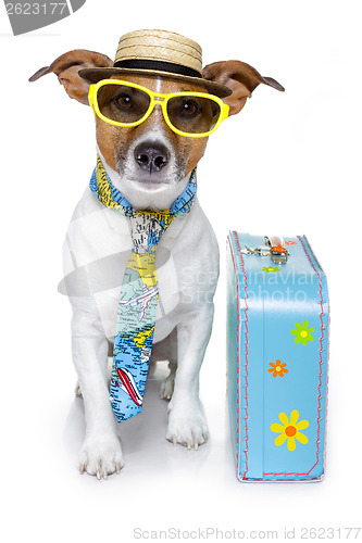 Image of vacation tourist dog