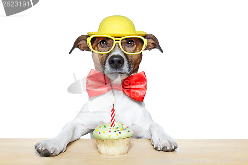 Image of birthday dog cupcake