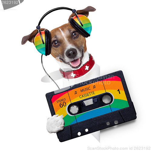 Image of music dog