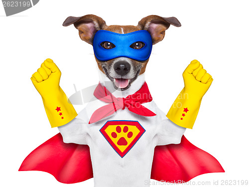 Image of super hero dog