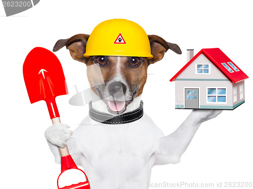 Image of home dog builder