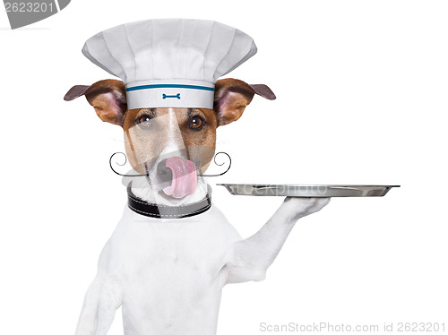 Image of dog cook chef 