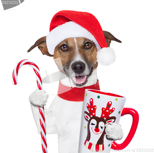 Image of xmas dog with cup and candy cane