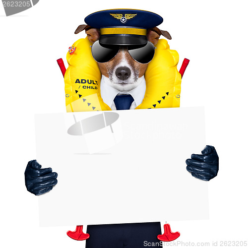 Image of pilot dog