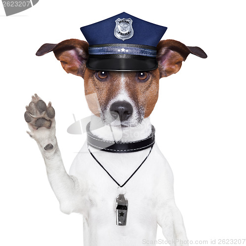 Image of police dog