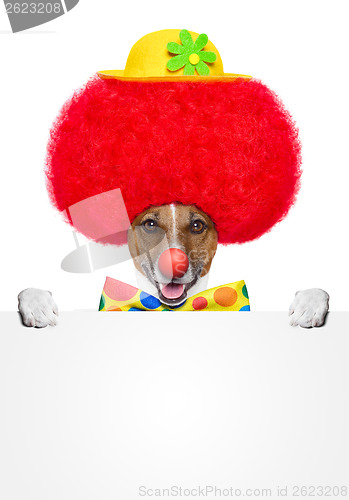 Image of clown dog with red wig and hat