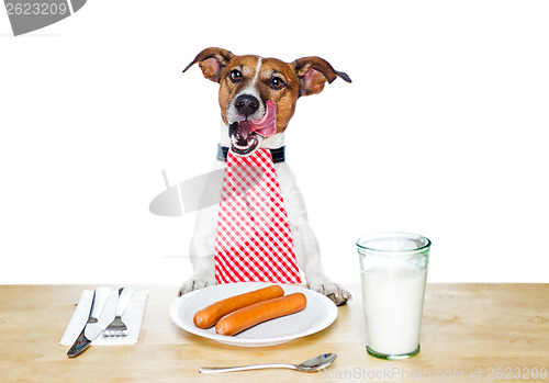 Image of dinner meal at table dog 