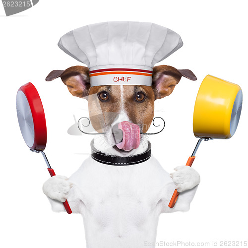 Image of dog cook chef 