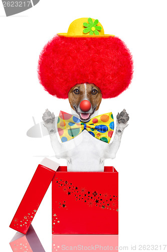 Image of clown dog with red wig and hat