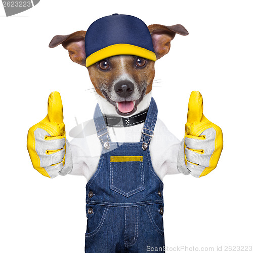 Image of Craftsman dog 