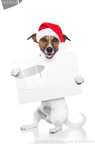 Image of christmas dog placeholder