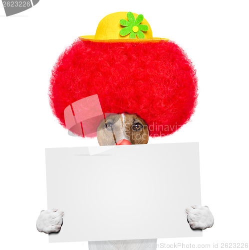 Image of clown dog with red wig and hat