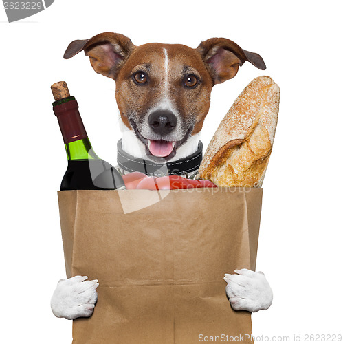 Image of grocery bag dog wine tomatoes bread