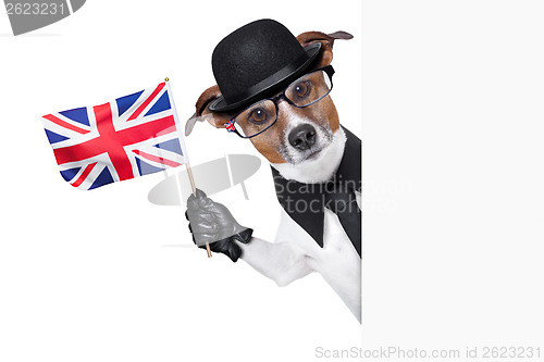 Image of british dog  banner