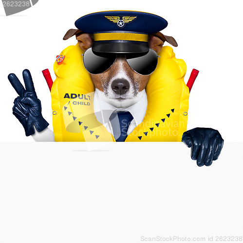 Image of pilot dog