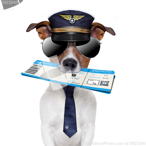 Image of boarding pass dog 
