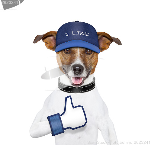 Image of i like dog 