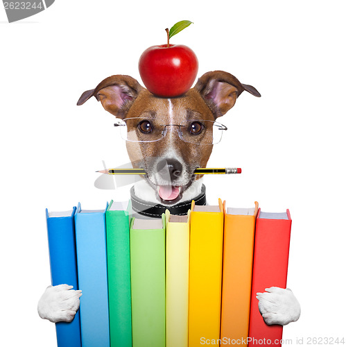 Image of dog and books