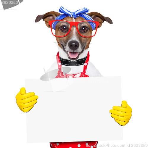Image of housewife dog 
