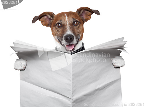 Image of dog blank newspaper