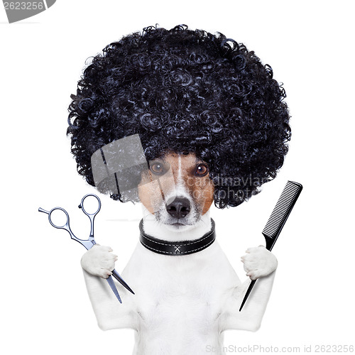 Image of hairdresser  scissors comb dog 