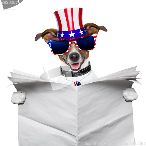 Image of american dog reading