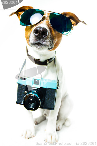 Image of dog photo camera