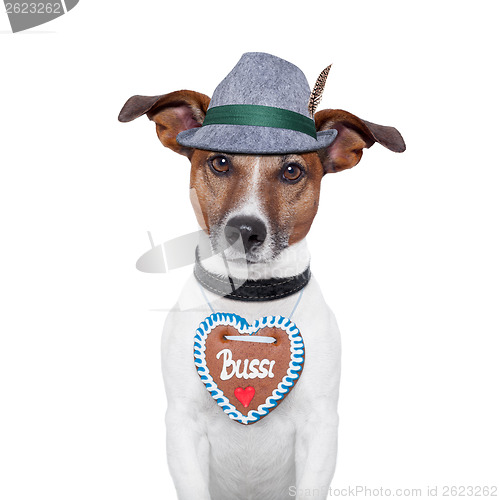 Image of dog oktoberfest